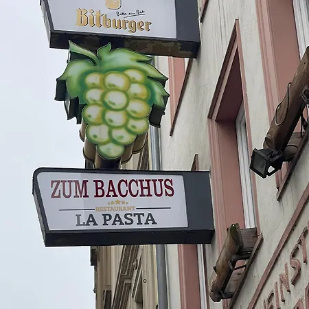 Homestay Haus Zum Bacchus Privates Einzelzimmer Nahe Bahnhof Roemisches Theater, Mainz
